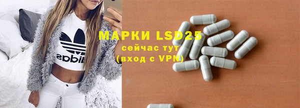 PSILOCYBIN Алзамай