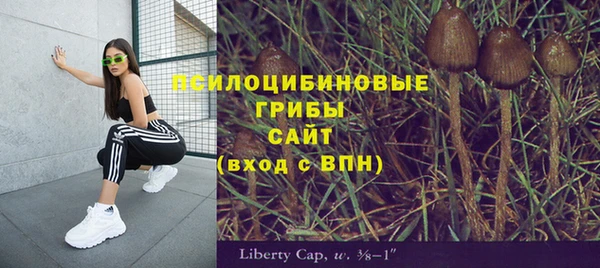 меф Алексин