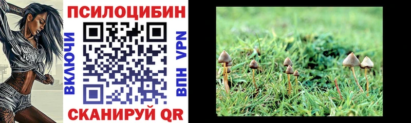 Галлюциногенные грибы Magic Shrooms  Балаково 